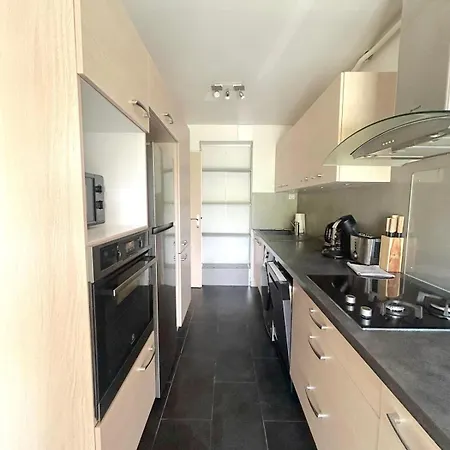 - Bright & Renovated 3-room Annecy