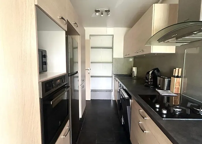 - Bright & Renovated 3-room Annecy