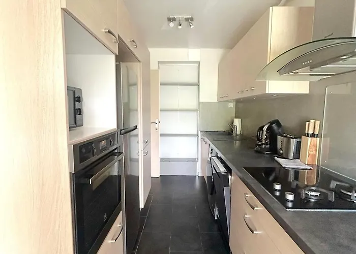 - Bright & Renovated 3-room Annecy